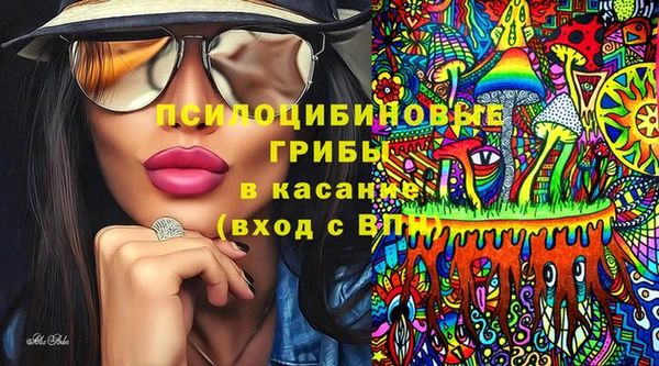 хмурый Белокуриха