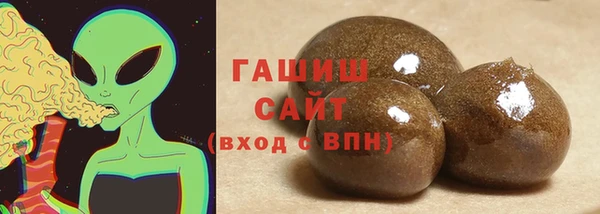 хмурый Белокуриха