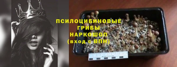 хмурый Белокуриха