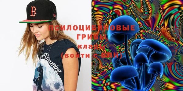 индика Балабаново