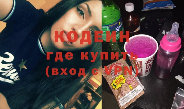 хмурый Белокуриха