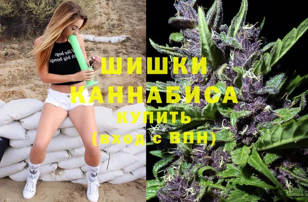 хмурый Белокуриха