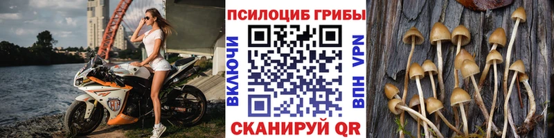 Галлюциногенные грибы MAGIC MUSHROOMS  Белинский 